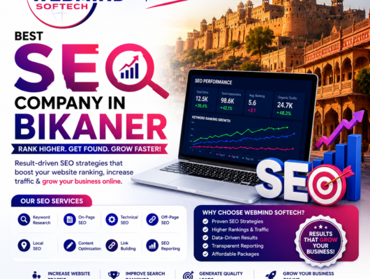 SEO Company in Bikaner